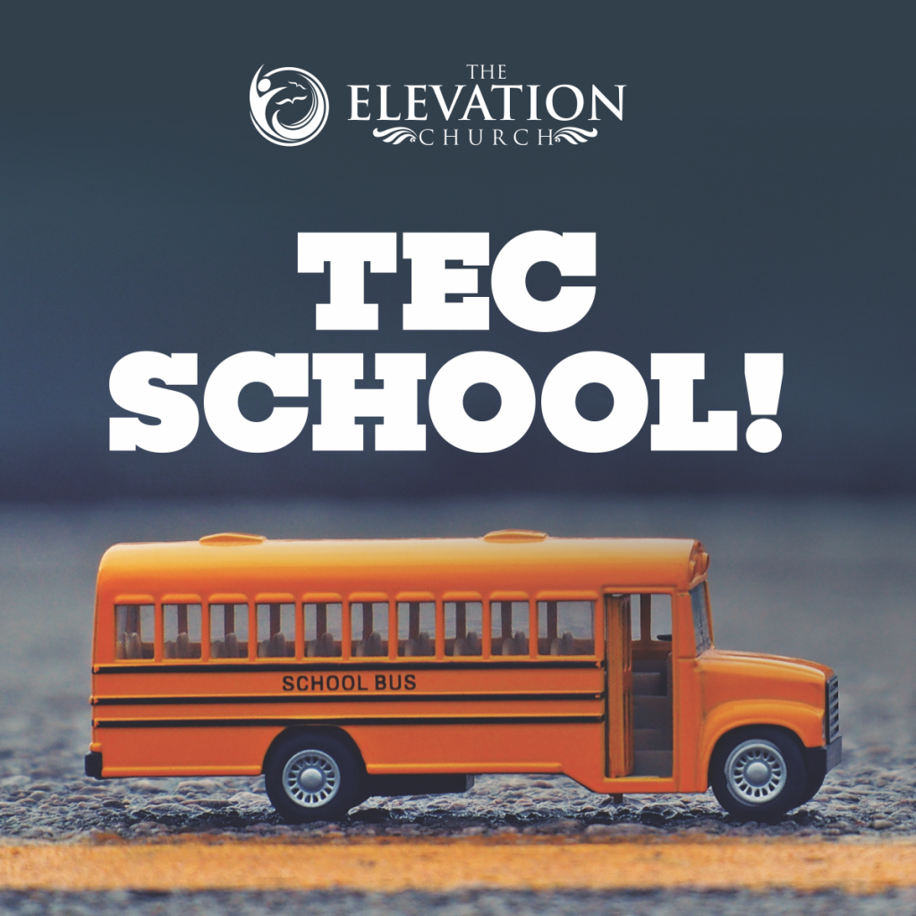 Courses at TEC